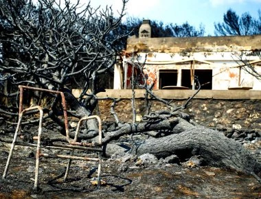 Ιδιοκτήτης οικοπέδου: «Άκουγα τα ουρλιαχτά των 25 που καίγονταν» (βίντεο)